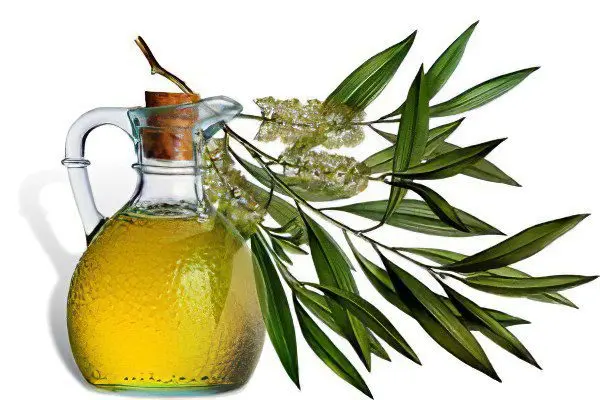 Tea tree oil