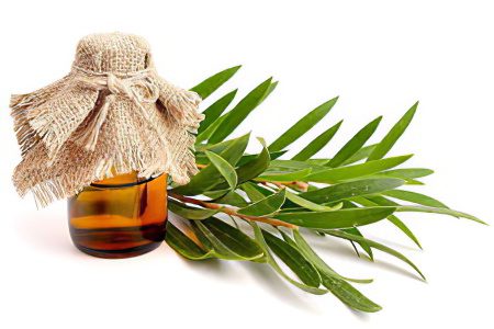 Tea tree oil