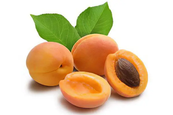 The benefits and harms of apricot