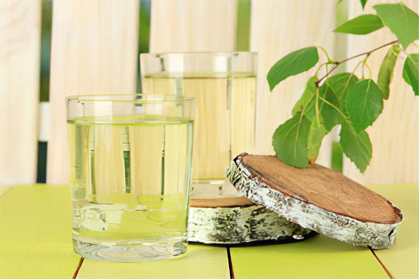 The benefits and harms of birch sap