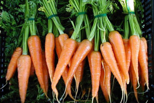 The benefits and harms of carrots and carrot juice