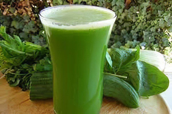 The benefits and harms of celery for men and women