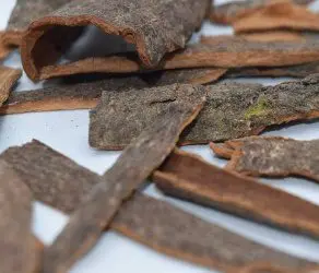 The benefits and harms of cinnamon