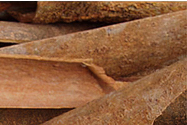 The benefits and harms of cinnamon