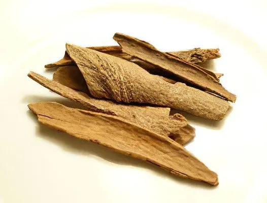 The benefits and harms of cinnamon