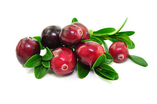 The benefits and harms of cranberries, application