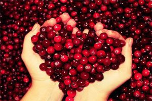 The benefits and harms of cranberries, application