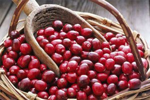 The benefits and harms of cranberries, application