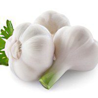 The benefits and harms of garlic, garlic treatment