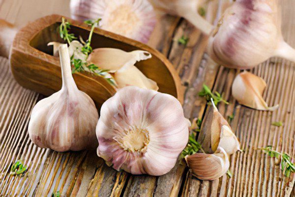 The benefits and harms of garlic, garlic treatment