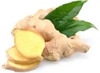 The benefits and harms of ginger root, its use and treatment with ginger tea