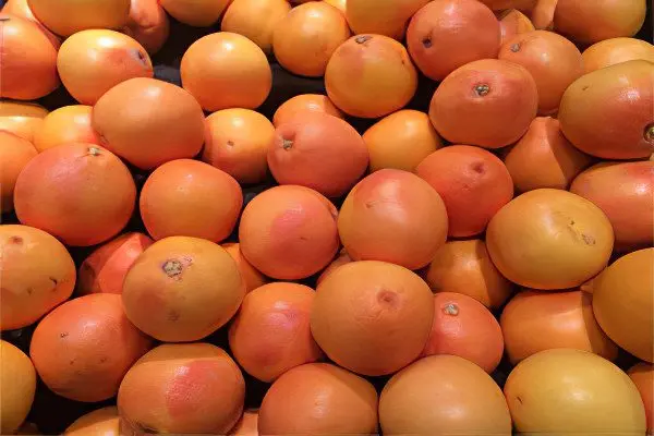 The benefits and harms of grapefruit for the body