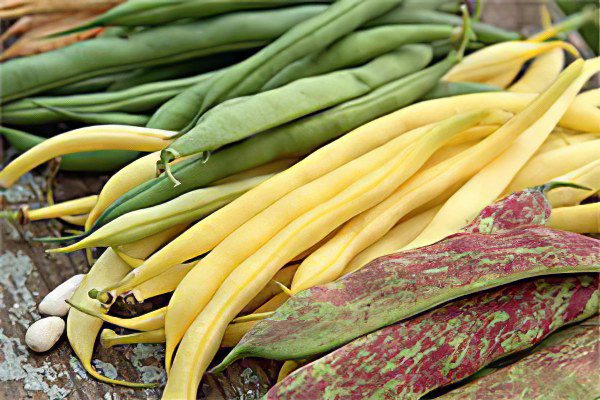 The benefits and harms of green beans