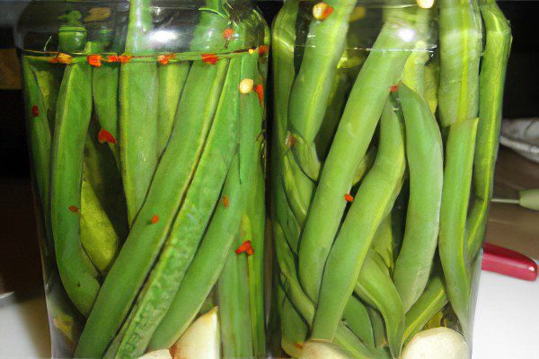 The benefits and harms of green beans