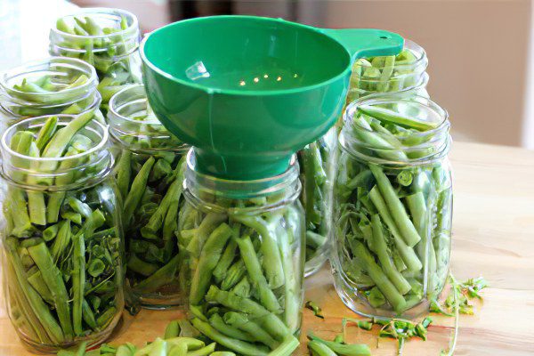 The benefits and harms of green beans