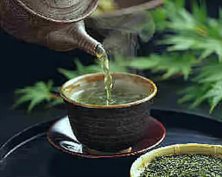 The benefits and harms of green tea, how to brew it?