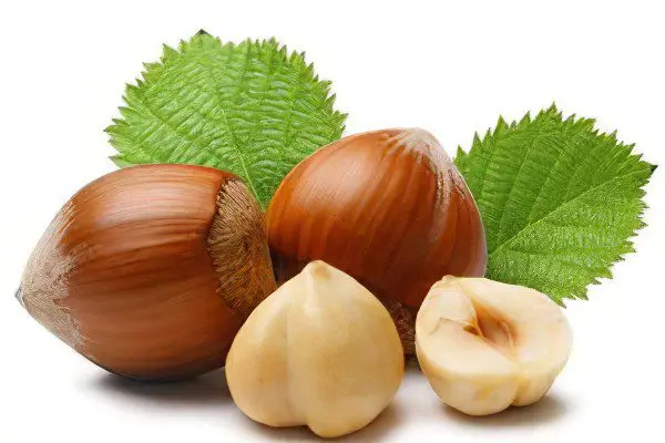 The benefits and harms of hazelnuts