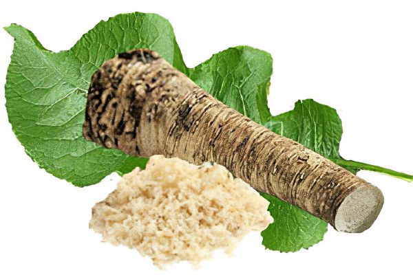 The benefits and harms of horseradish, recipes