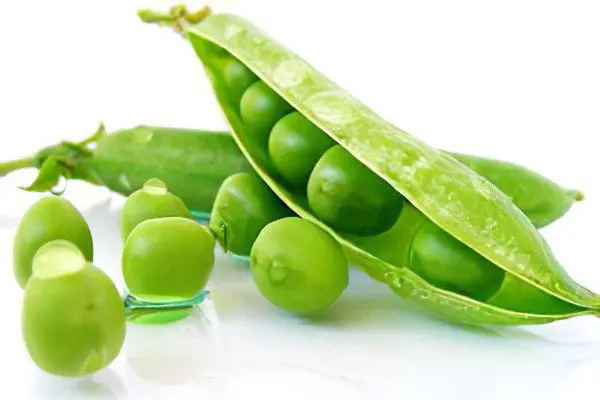 The benefits and harms of peas