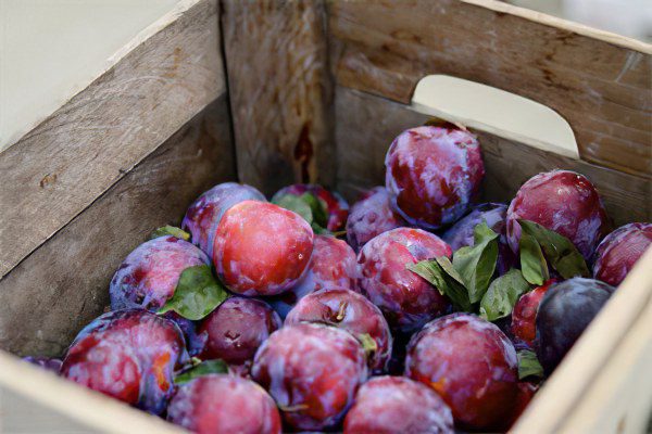 The benefits and harms of plums