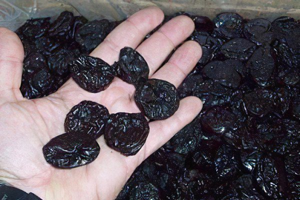 The benefits and harms of prunes for the body. What is useful prunes?