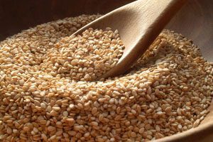 The benefits and harms of sesame seeds for health