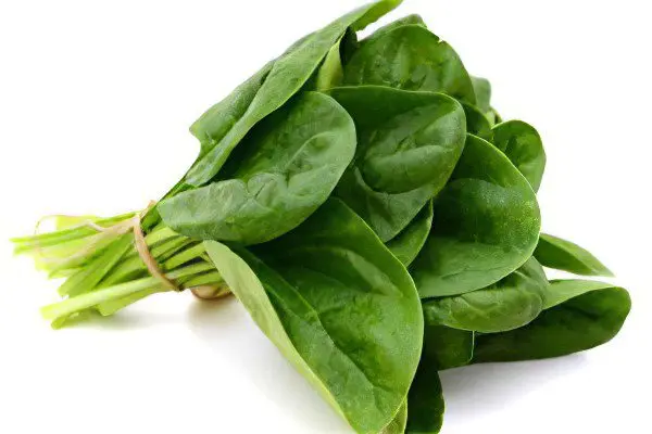 The benefits and harms of spinach