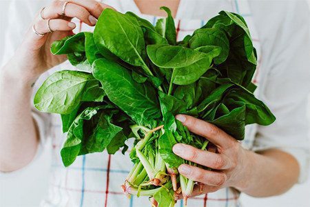 The benefits and harms of spinach