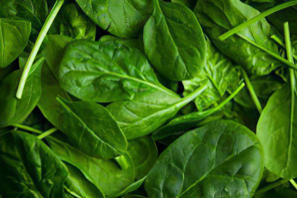 The benefits and harms of spinach