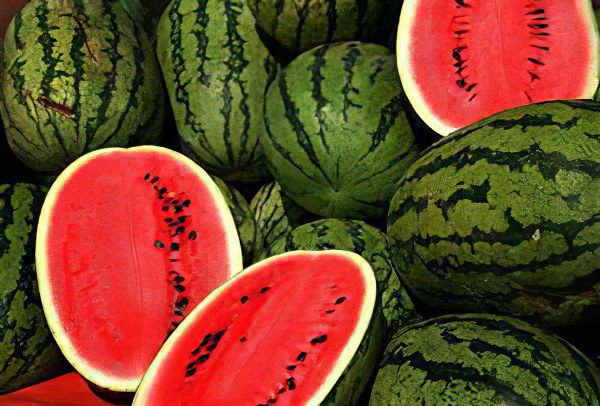 The benefits and harms of watermelon, how to grow watermelon in a greenhouse and open field?