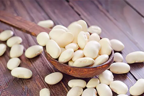 The benefits and harms of white beans