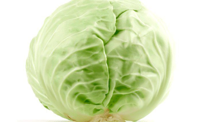 The benefits and harms of white cabbage