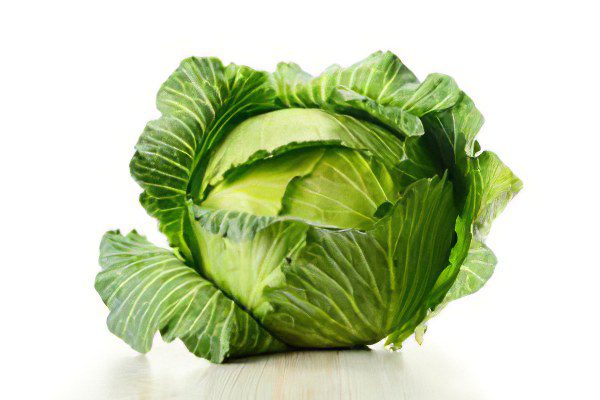 The benefits and harms of white cabbage