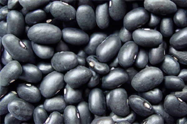 The benefits and nutritional properties of black beans