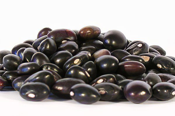 The benefits and nutritional properties of black beans