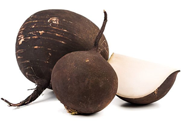 The benefits of black radish, recipes for use