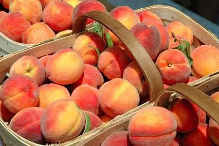 The benefits of peach for men and women, composition, possible harm