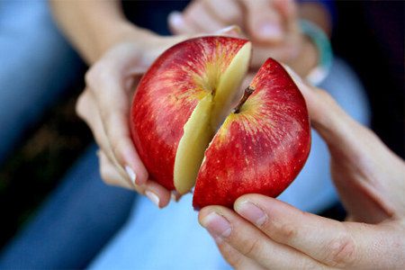 The health benefits and harms of apples