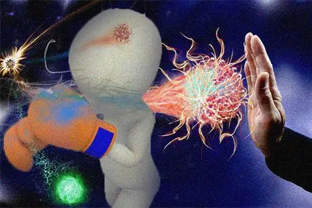 The immune system and organs of the immune system