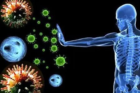 The immune system and organs of the immune system