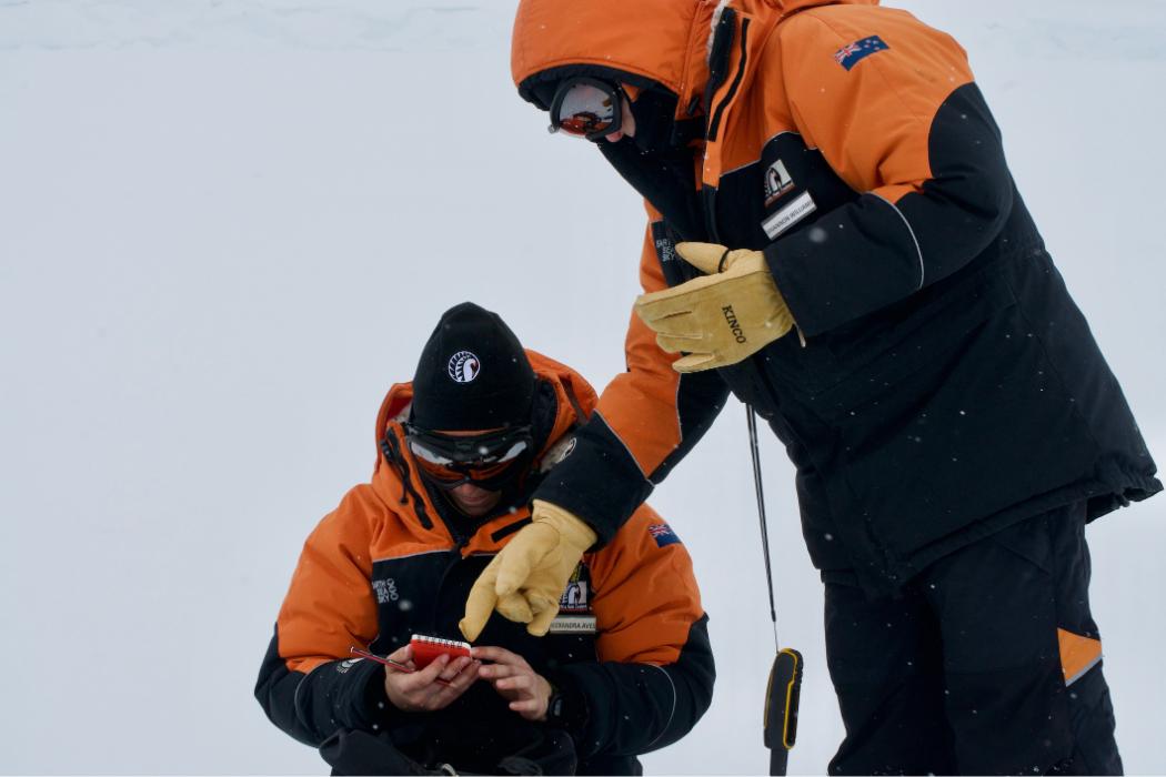 The plastic world won: microplastics found in Antarctica