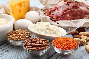 The simplest protein diet