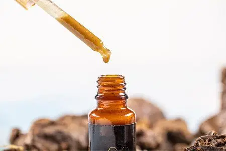 The use of propolis and its treatment, its beneficial properties