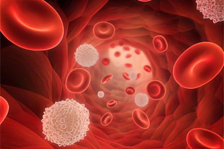 Thrombocytopenia - symptoms and treatment