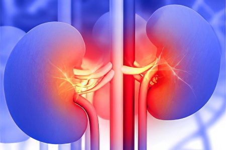 thrombosis of the renal veins