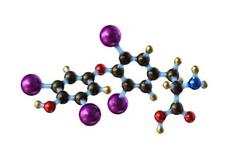 Thyroid hormone T4