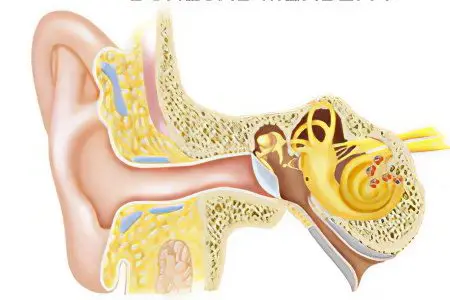 Treatment for tinnitus