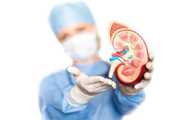 Treatment of kidney stones folk remedies