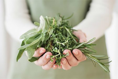 Treatment of pancreatitis with herbs