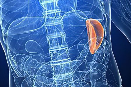 Tumors of the spleen &#8211; hemangioma and lymphoma